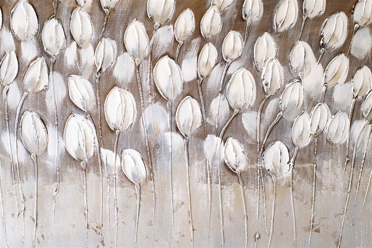 Fototapeta białe tulipany na polu jeszcze się nie otworzyły