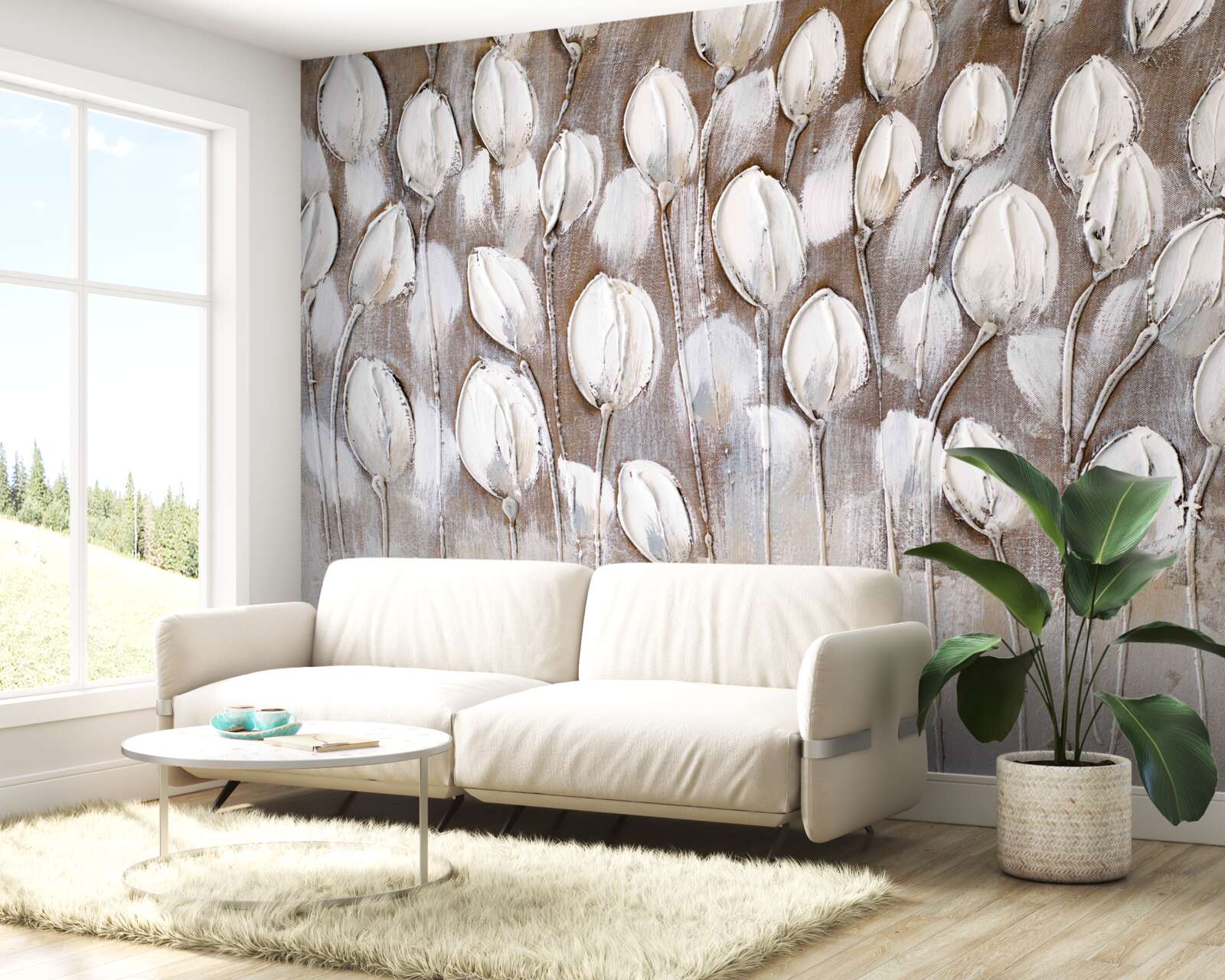 Fototapeta białe tulipany na polu jeszcze się nie otworzyły