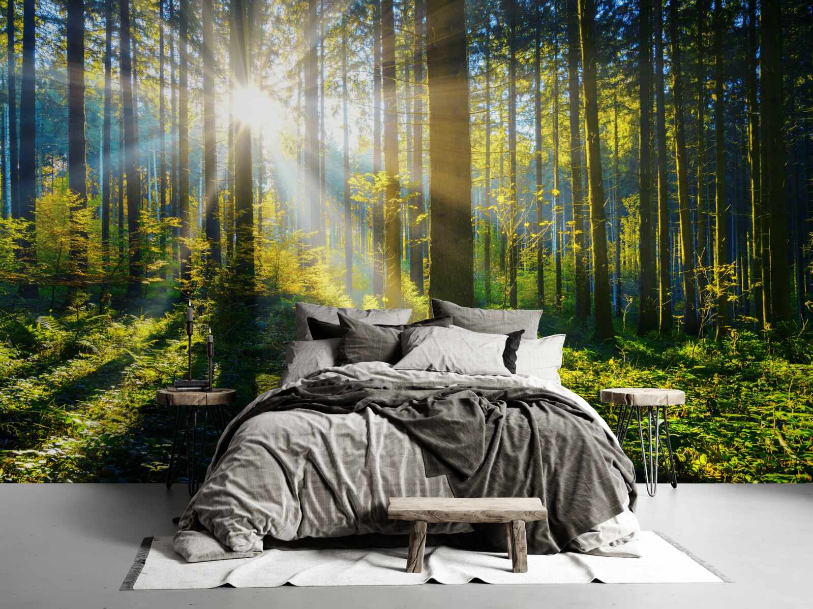 Fototapeta jasne światło ogrzewa zaciemniony zarośla