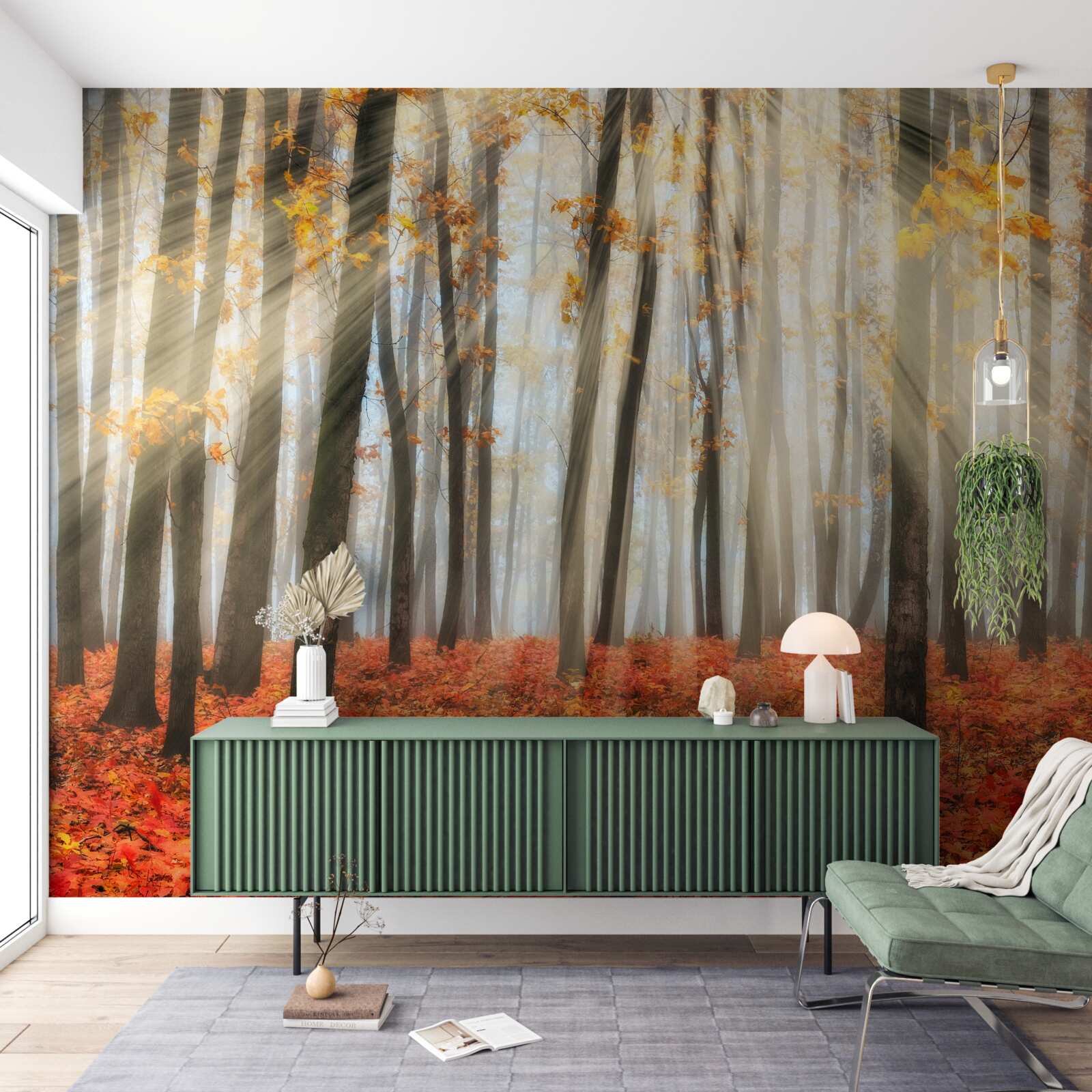 Fototapeta promienie słońca i pełne wdzięku jesienne drzewa, które straciły liście