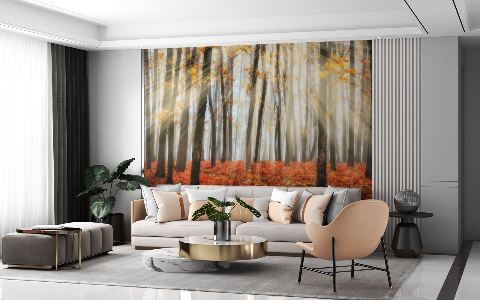 Fototapeta promienie słońca i pełne wdzięku jesienne drzewa, które straciły liście