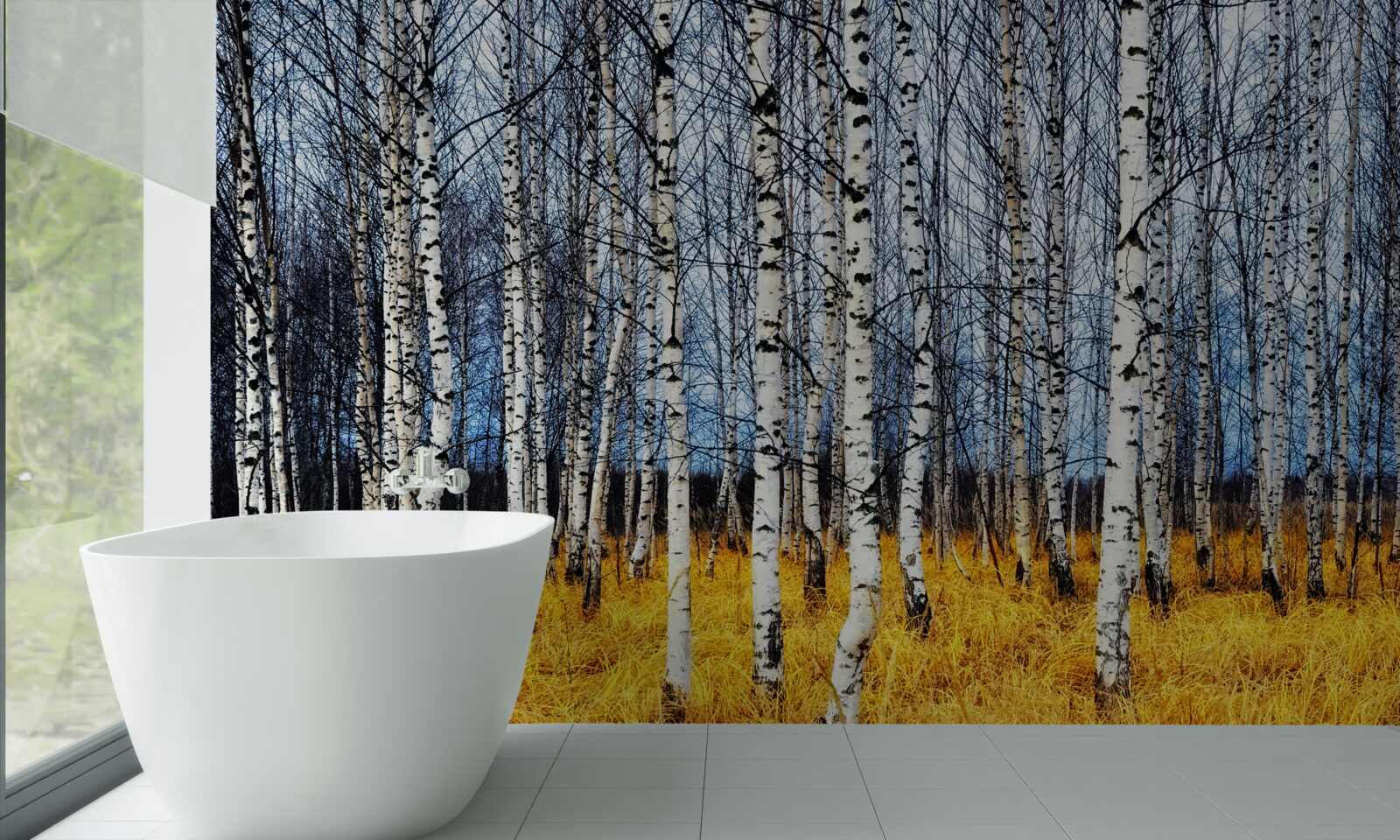 Fototapeta opadłe liście brzozy na tle żółknącej trawy leśnej