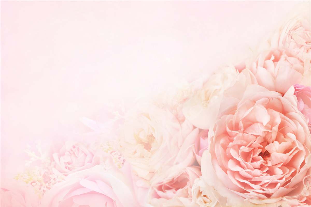 Fototapeta cienkie różowe kwiaty