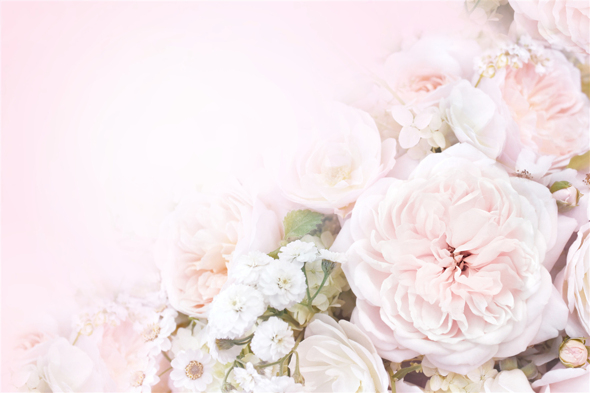 Fototapeta jasne tło ozdobione jest delikatnymi kwiatami