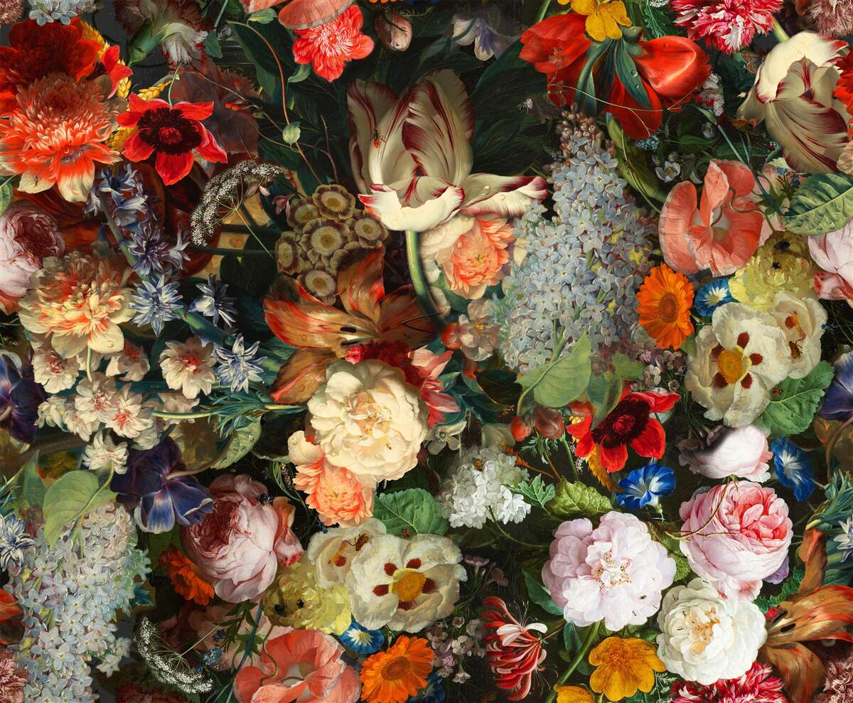 Fototapeta Żywe kwiaty sezonowe w pełnym letnim rozkwicie