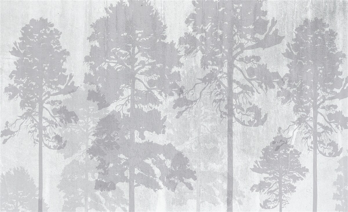 Fototapeta mgliste kontury drzew leśnych na skraju wyglądają smukło