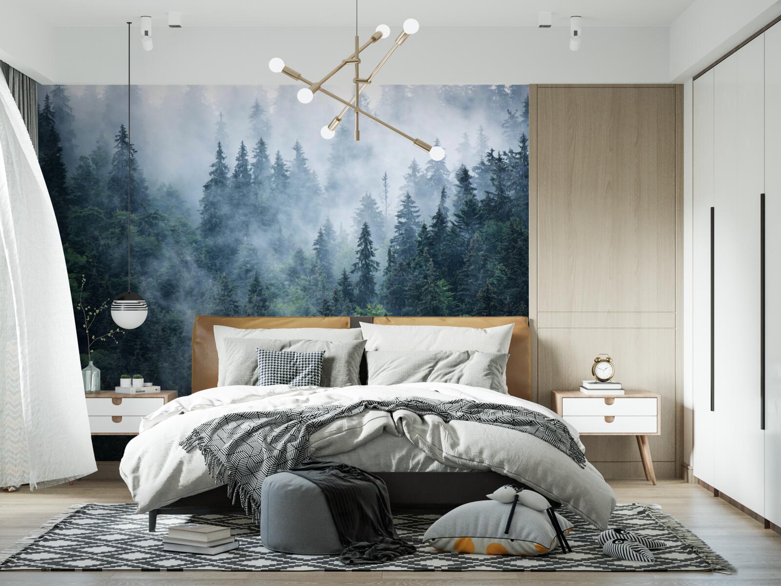 Fototapeta mgła opada na gaj świerkowy