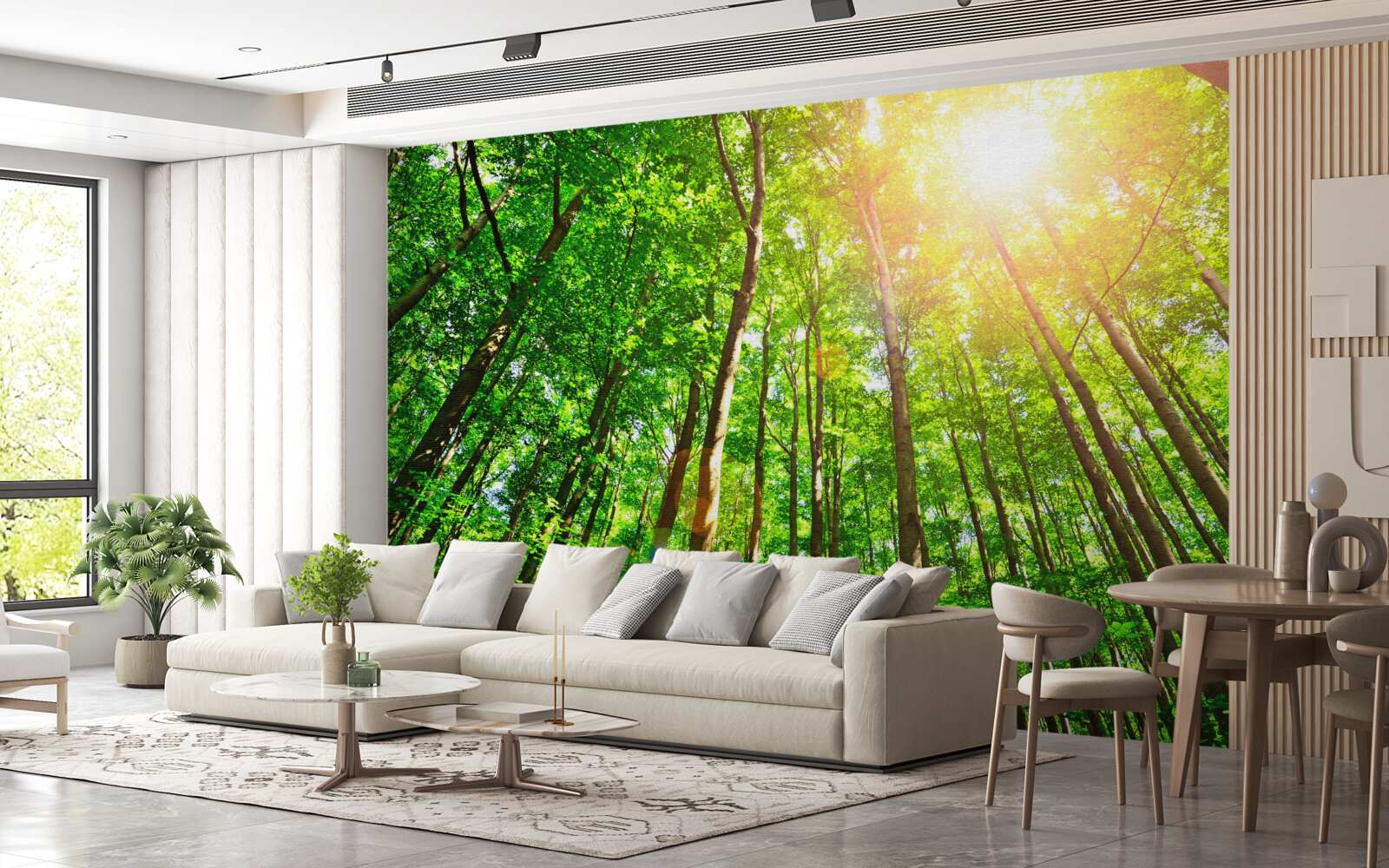 Fototapeta bogate światło słoneczne przebija się przez gęste krawędzie lasu