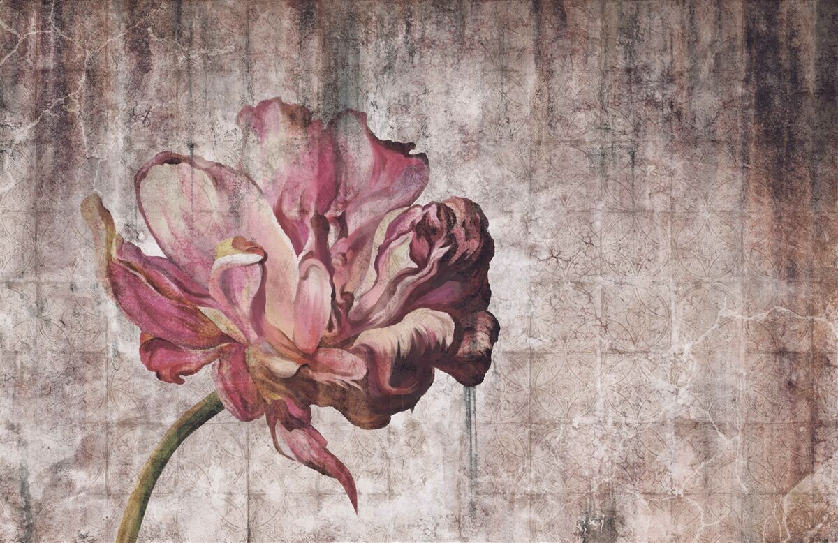 Fototapeta samotny szkarłatny kwiat podczas ulewy