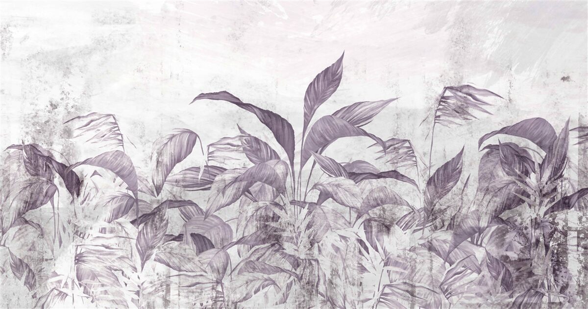 Fototapeta podczas ulewnych deszczy tropikalna flora i roślinność