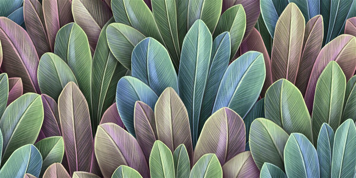 Fototapeta subtelności spektrum kolorów jesiennych liści leśnych