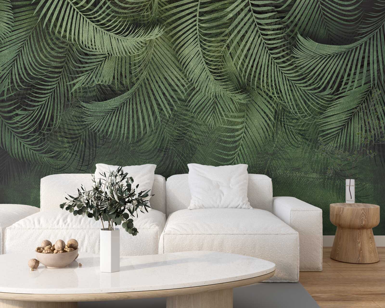 Fototapeta liście palmy wieczornej są grube