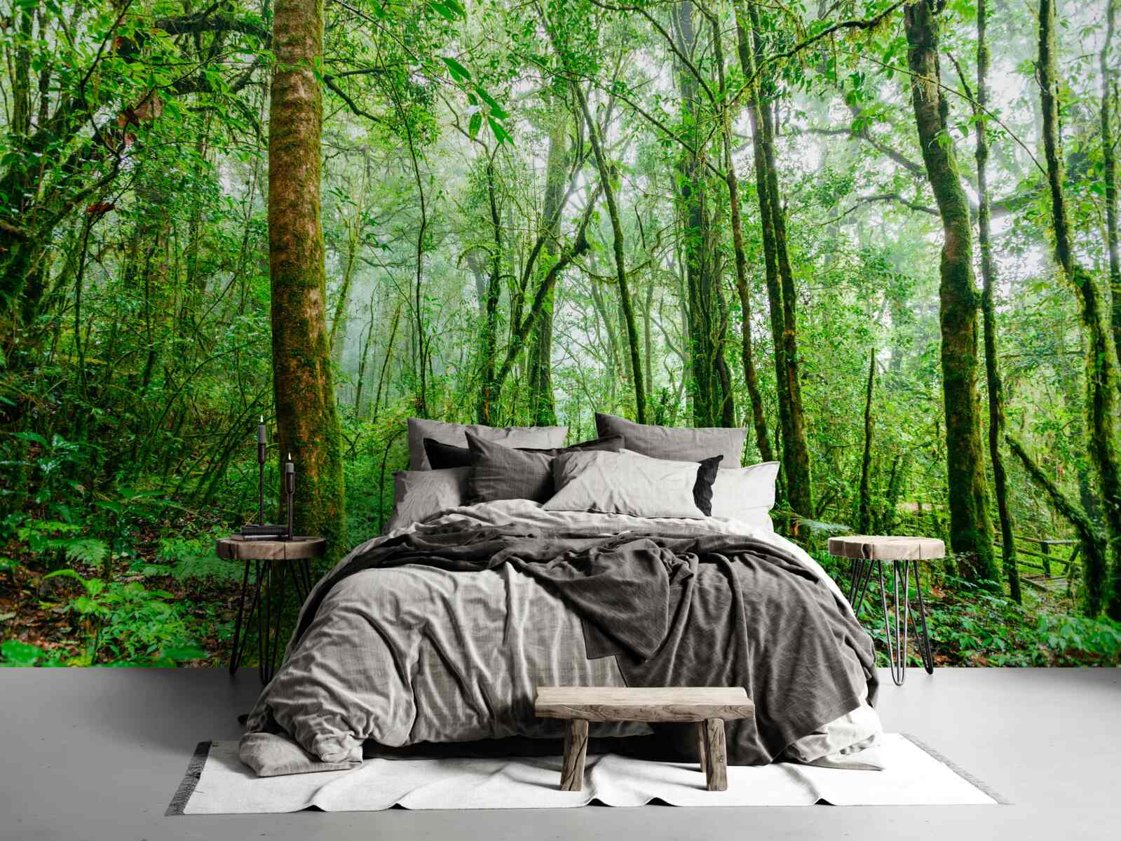 Fototapeta las odświeżony po deszczu stał się szmaragdowy