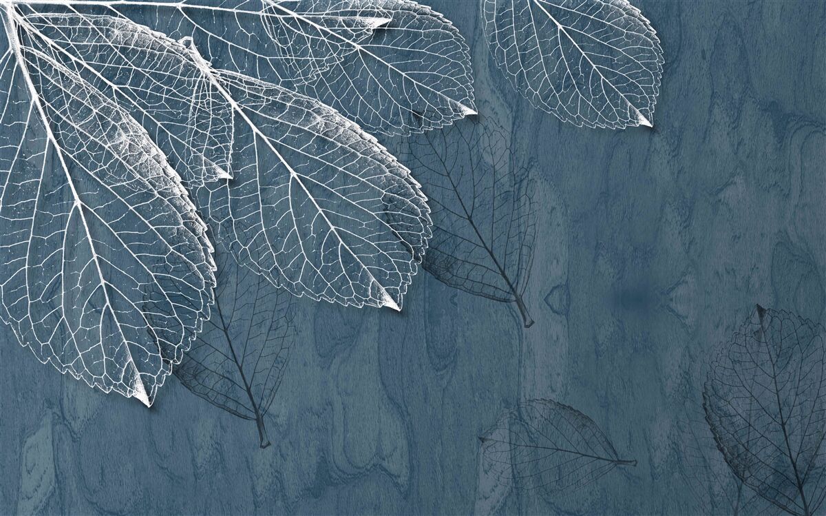 Fototapeta liście są przezroczyste jak skrzydła motyla