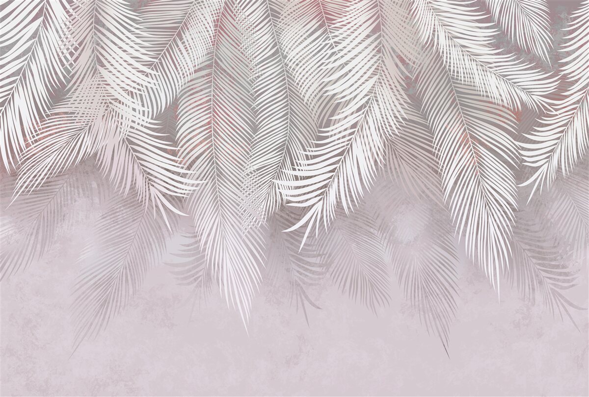 Fototapeta duże lekkie pióropusze dążą do wilgoci