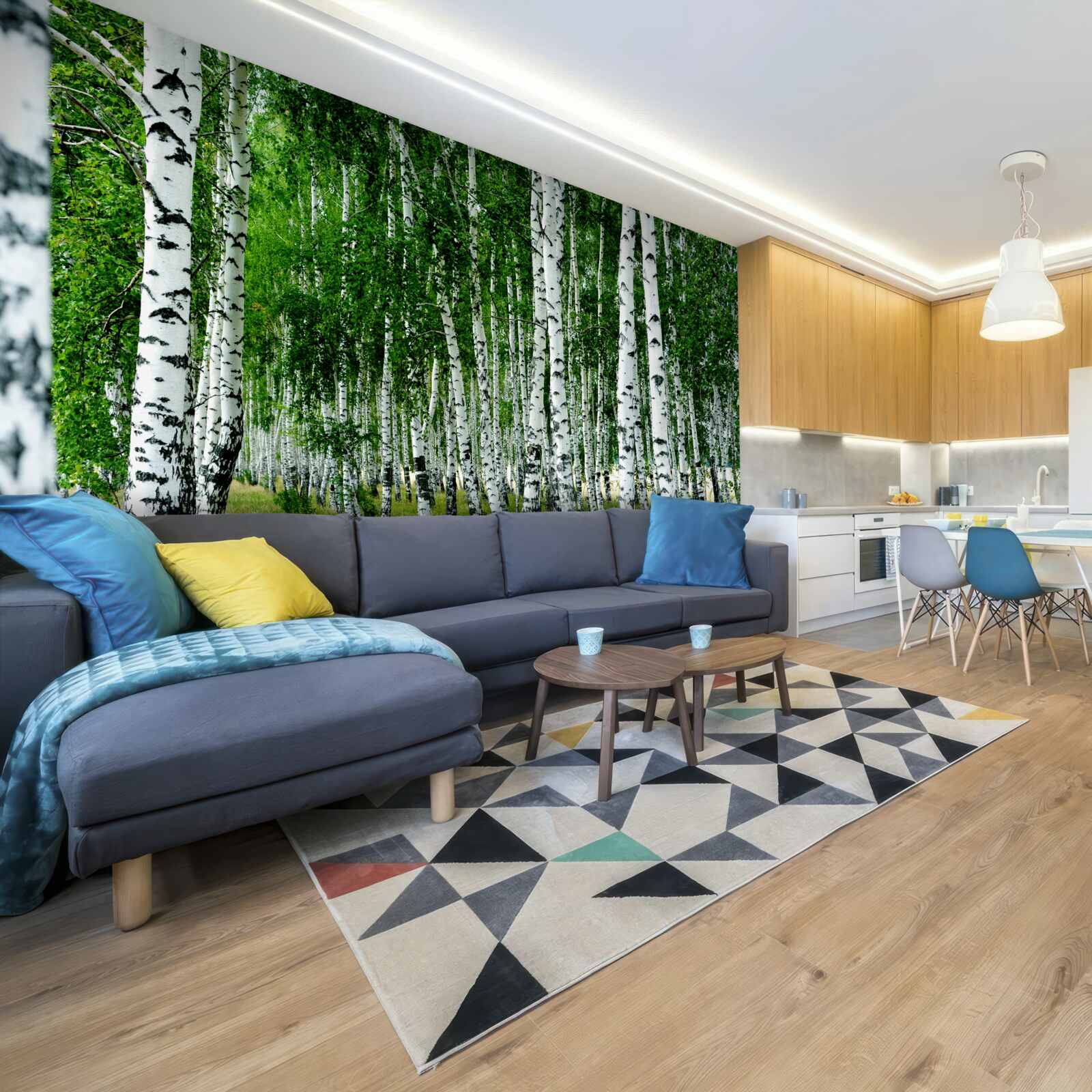 Fototapeta zielone brzozy z wdzięcznymi pniami na otwartym polu