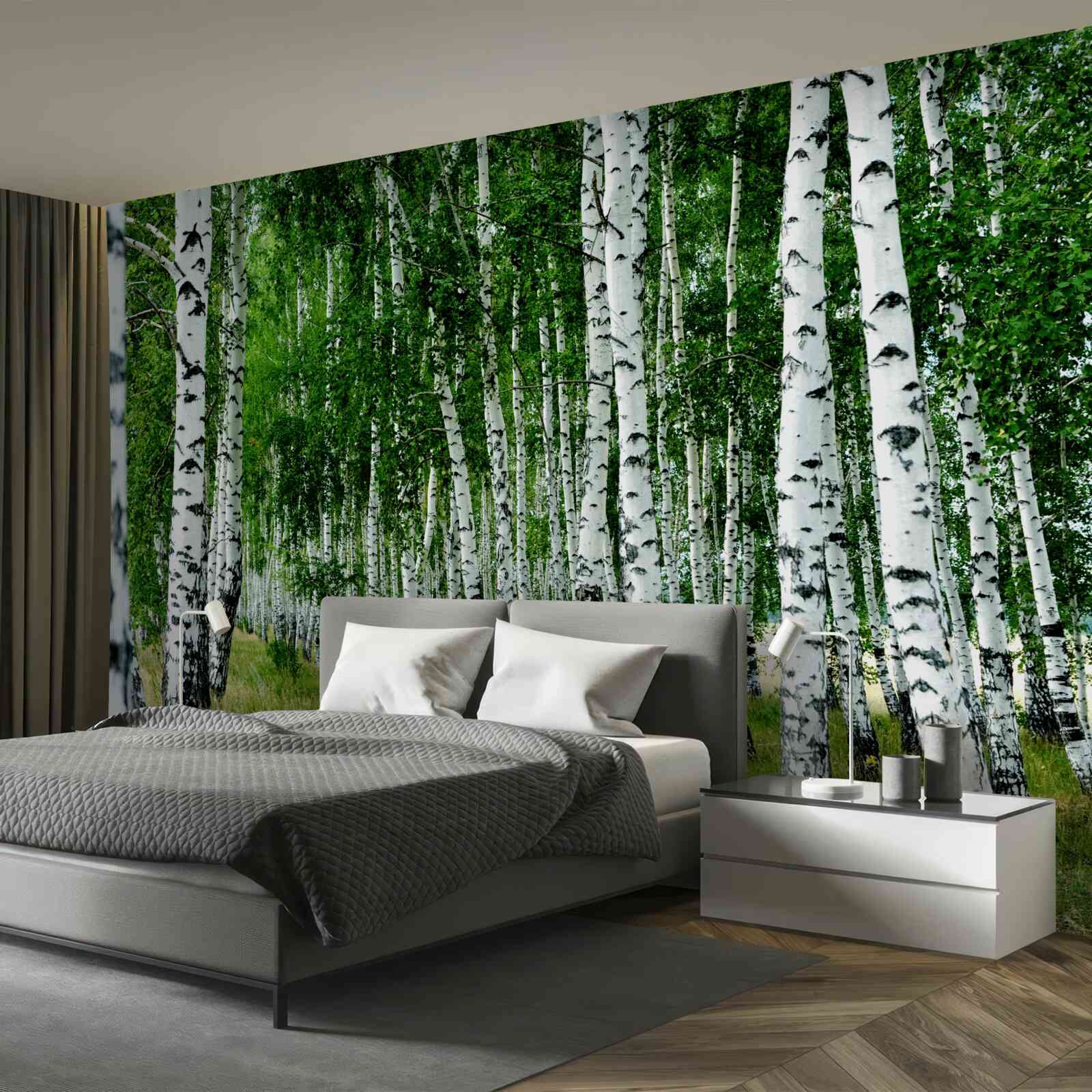 Fototapeta zielone brzozy z wdzięcznymi pniami na otwartym polu