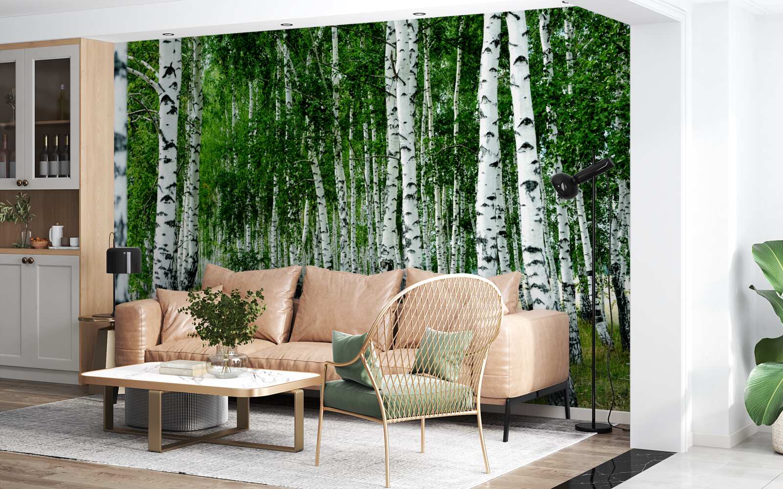 Fototapeta zielone brzozy z wdzięcznymi pniami na otwartym polu