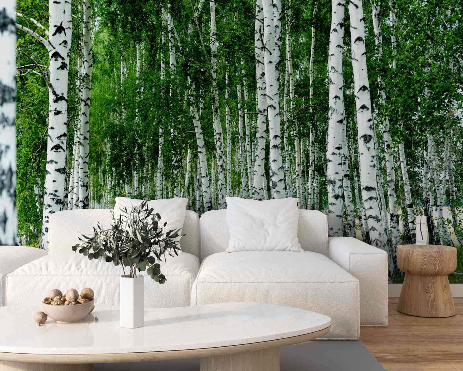 Fototapeta zielone brzozy z wdzięcznymi pniami na otwartym polu