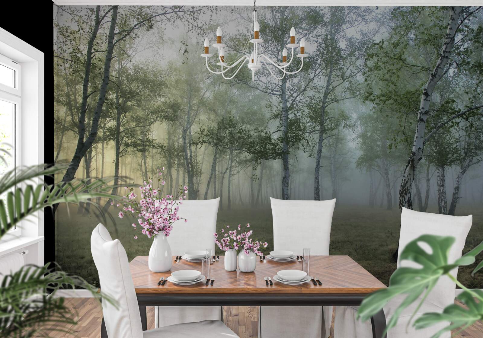 Fototapeta wysokie brzozy spowite poranną mgłą