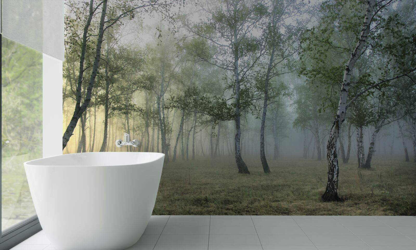 Fototapeta wysokie brzozy spowite poranną mgłą