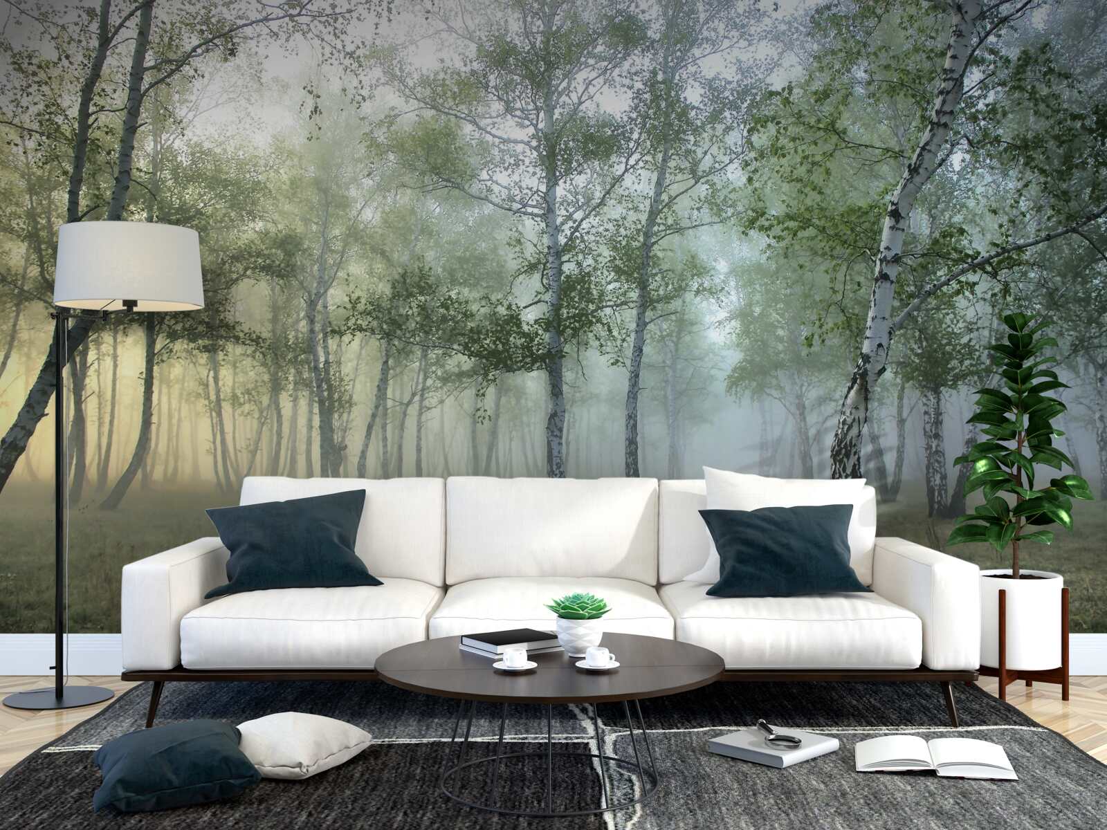 Fototapeta wysokie brzozy spowite poranną mgłą