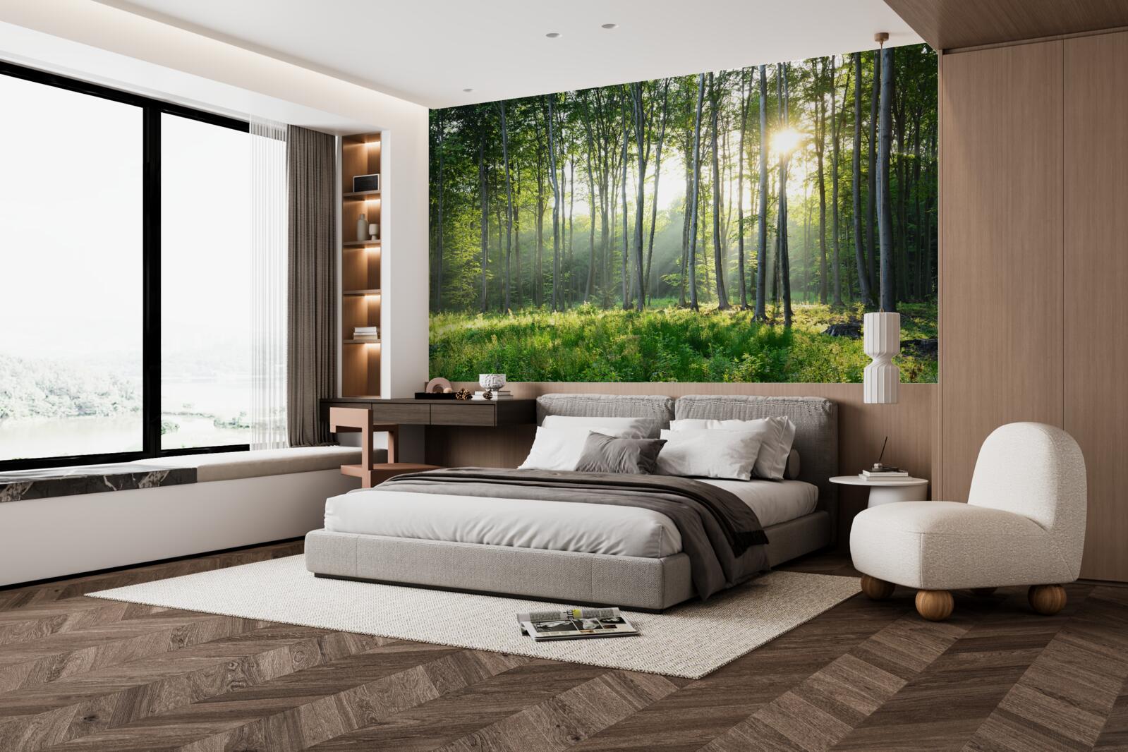 Fototapeta miejsce na łonie natury z widokiem na poranne słońce w lesie