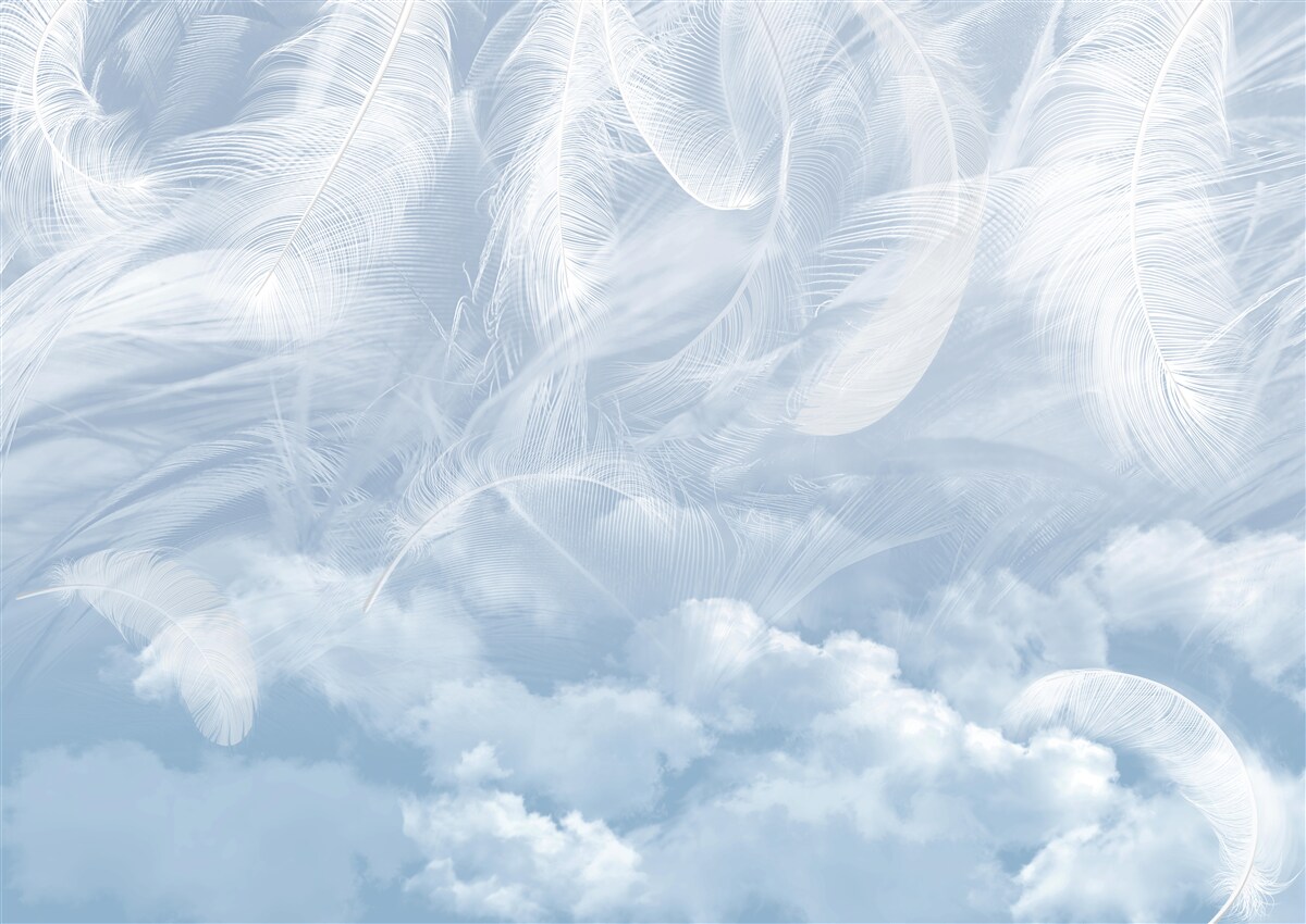 Fototapeta puchatek i gromady niebieskie