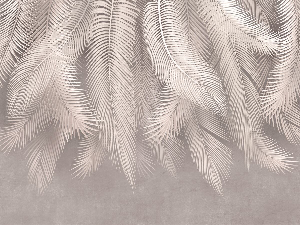 Fototapeta pióra miękkie, gładko opuszczone