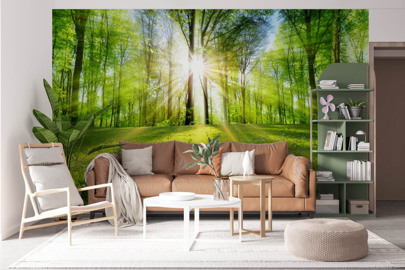 Fototapeta słońce wschodzi w zielonych zaroślach lasu