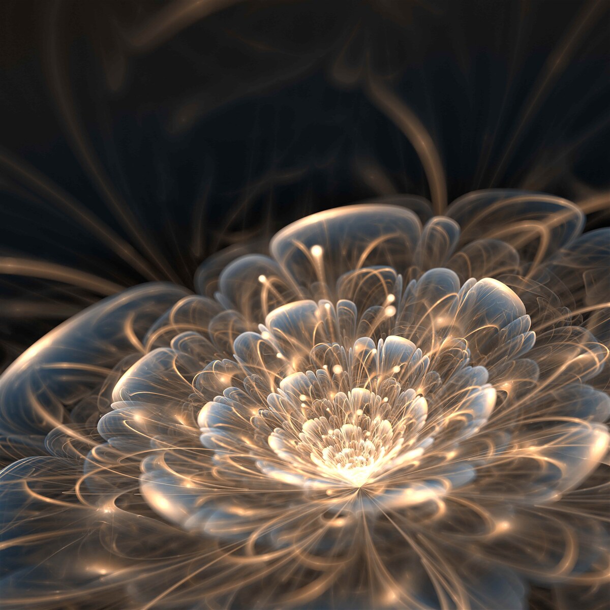 Fototapeta duży kwiat światła