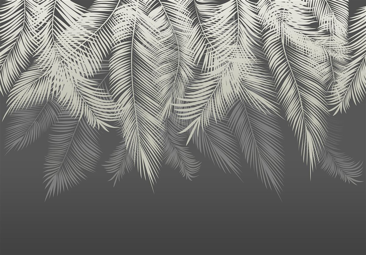 Fototapeta paproć odchodzi w ciemności nocy