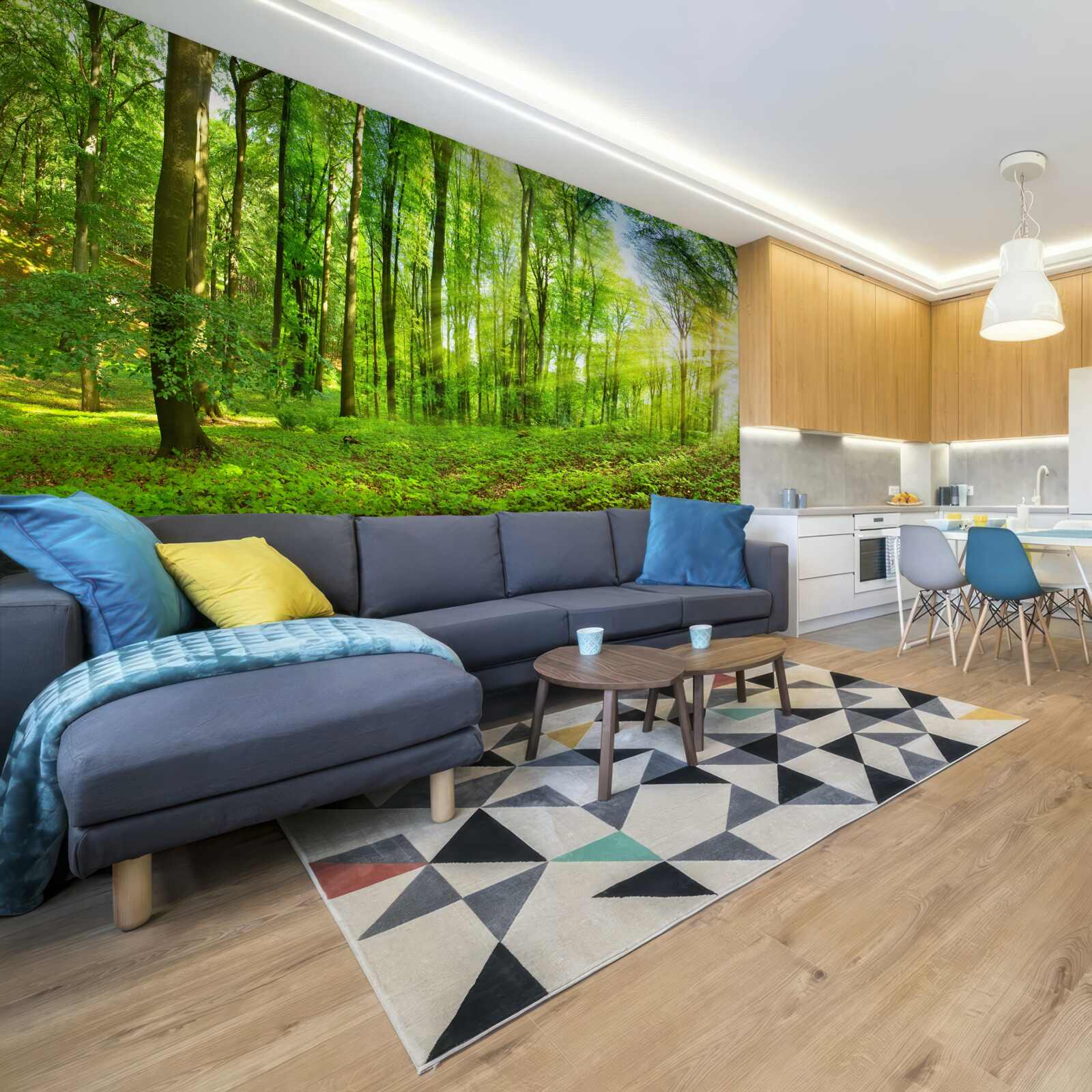 Fototapeta Świt w lesie, gdzie króluje zielone liście