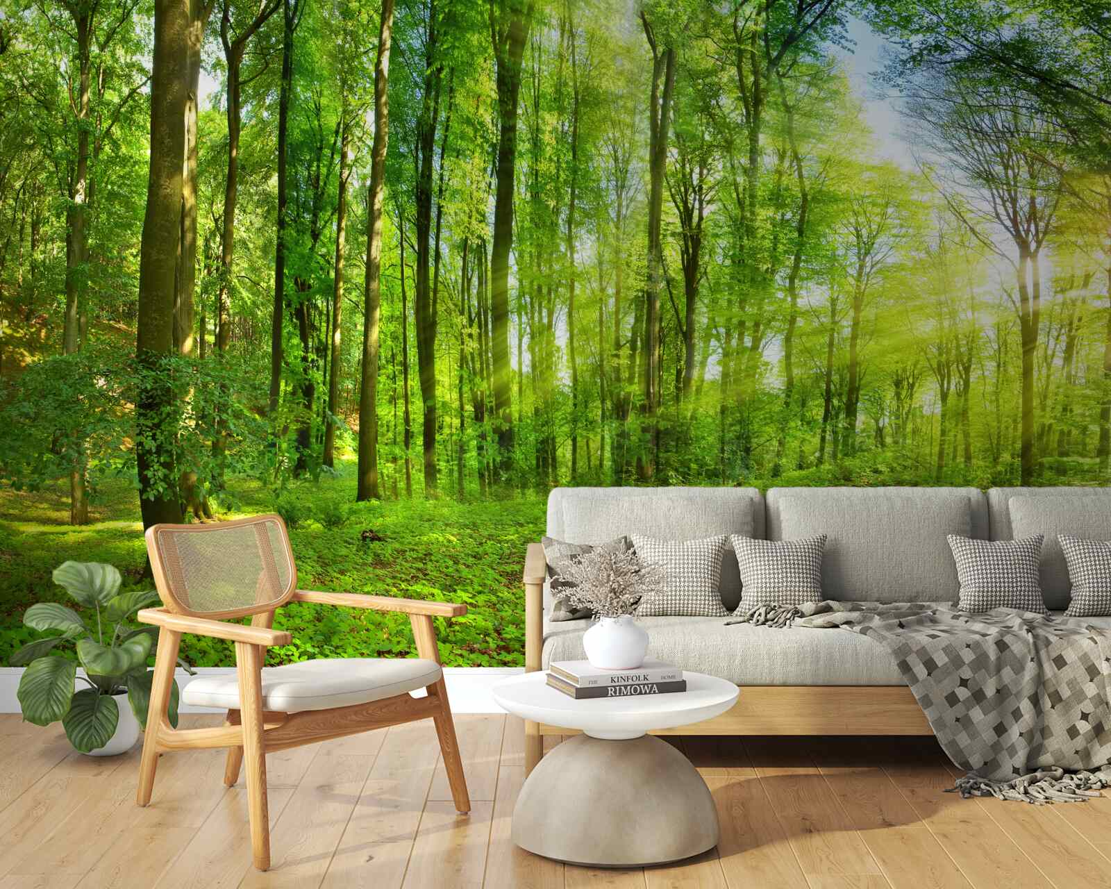 Fototapeta Świt w lesie, gdzie króluje zielone liście