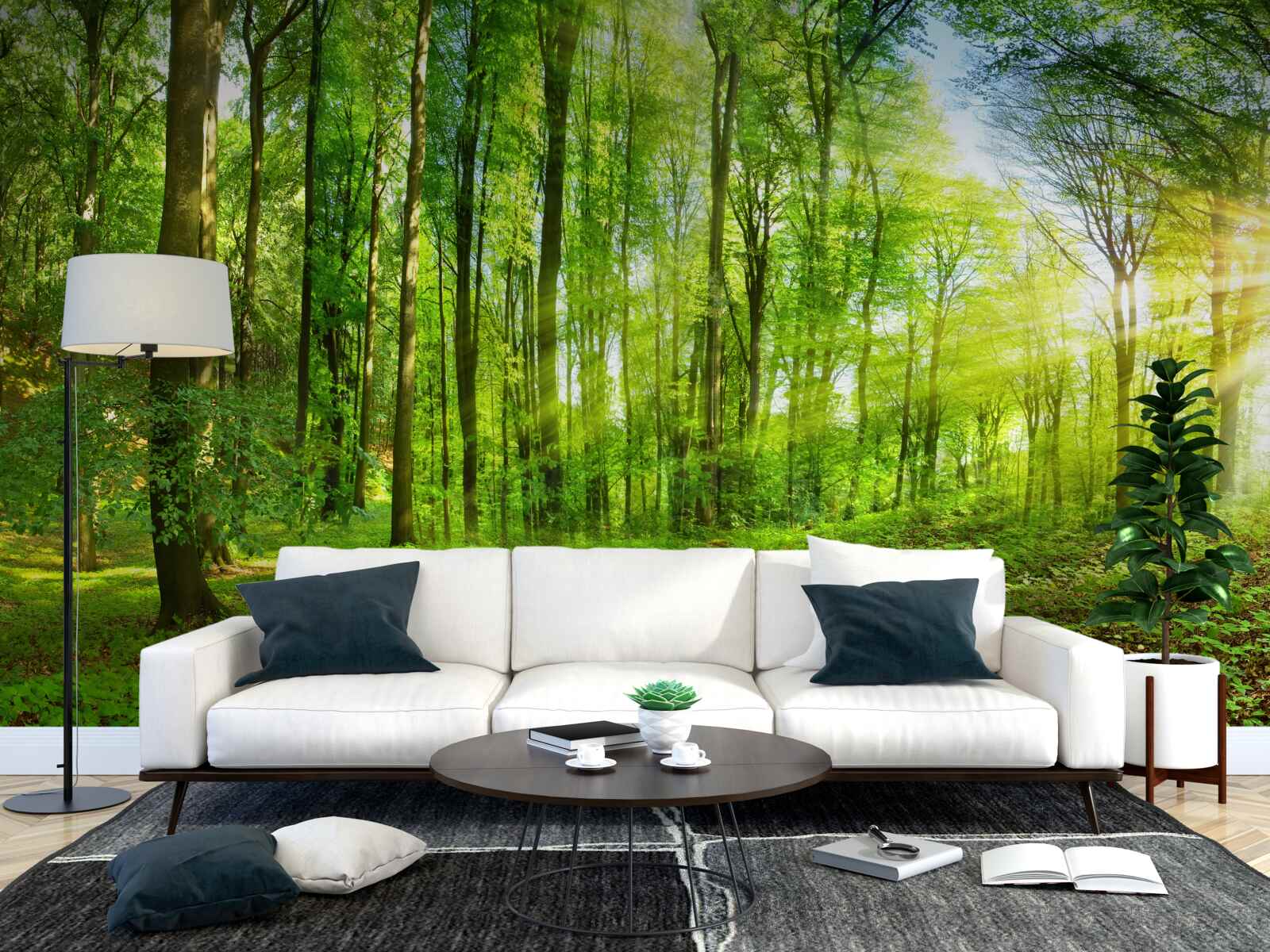 Fototapeta Świt w lesie, gdzie króluje zielone liście