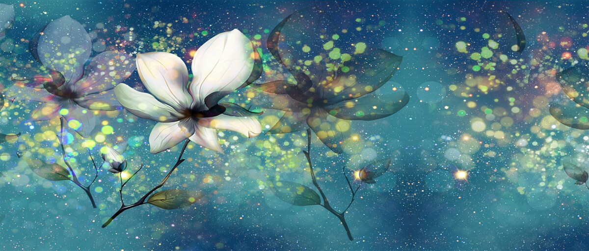 Fototapeta kwiat bieli w nocy usianej gwiazdami