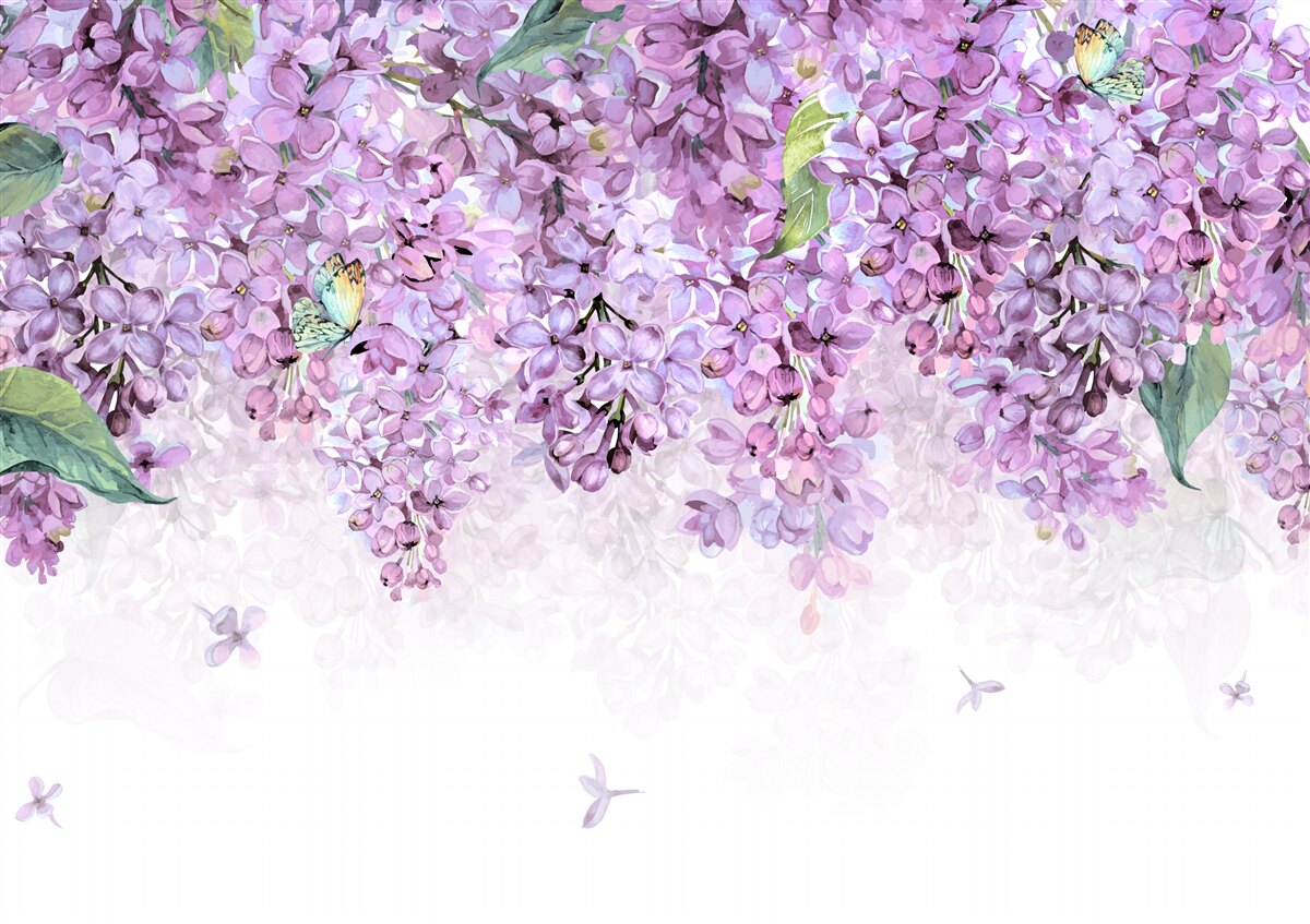 Fototapeta jasnofioletowa liliowa ściana