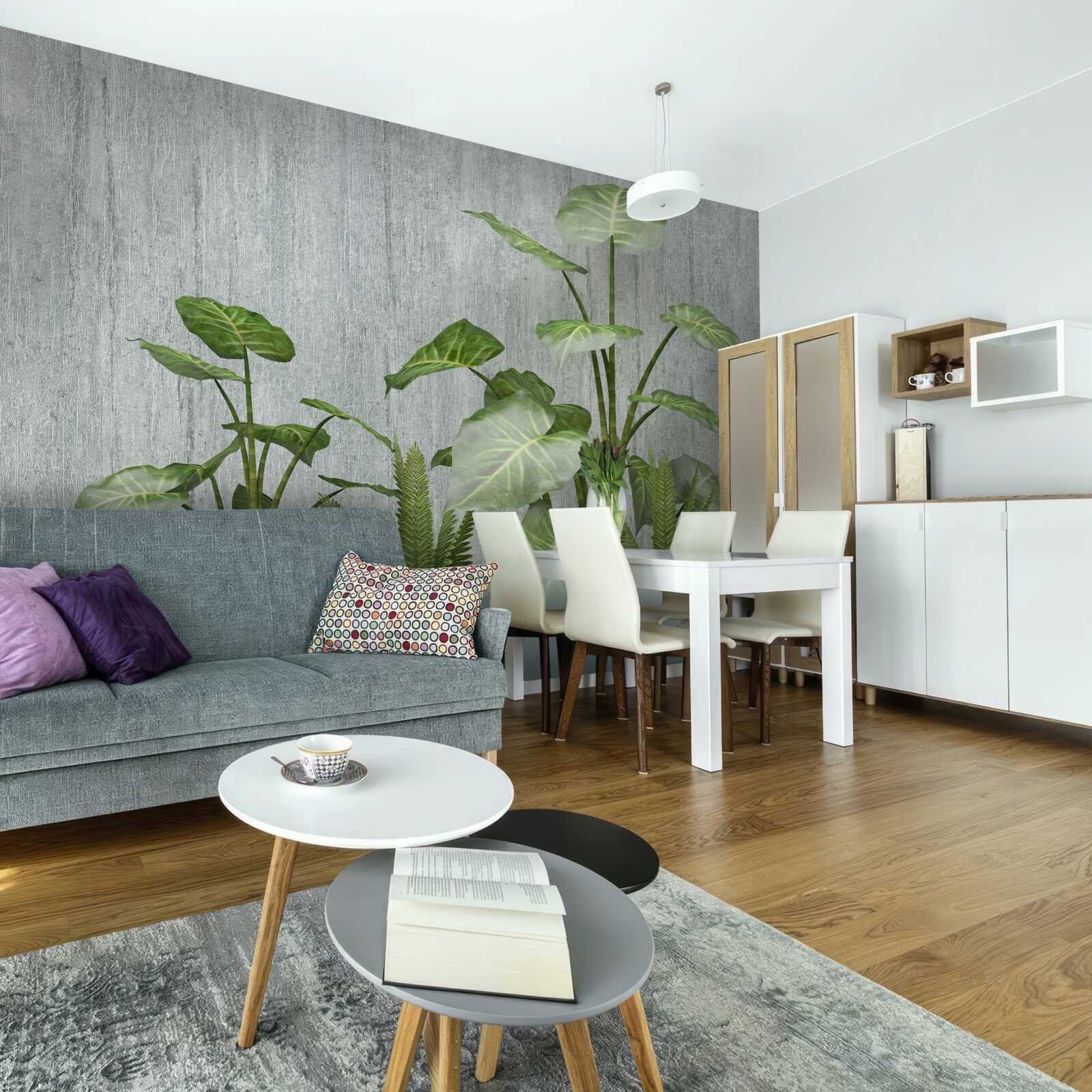 Fototapeta potężny krzew monstera na srebrnym tle