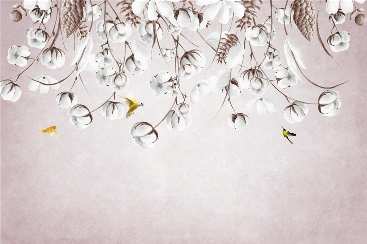 Fototapeta lekka bawełna na białym tle