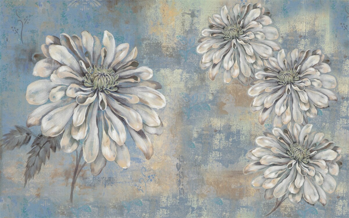 Fototapeta na tle deszczu wlewają się śnieżnobiałe astry wielkości deszczu