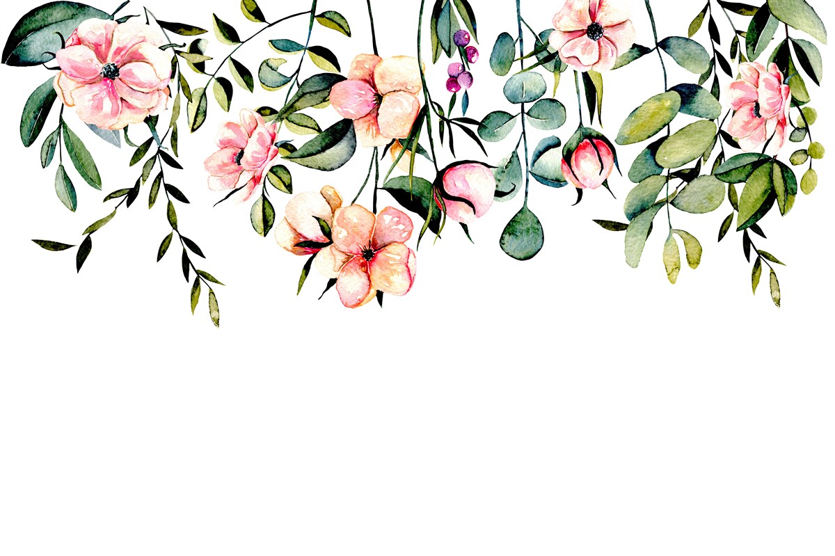 Fototapeta kwiaty rosnące latem