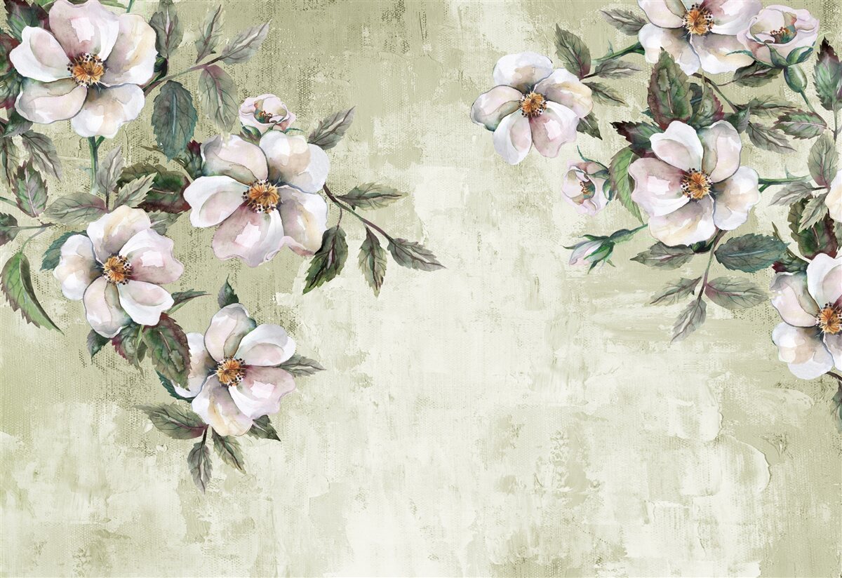 Fototapeta rozłożyste gałęzie śnieżnobiałej magnolii