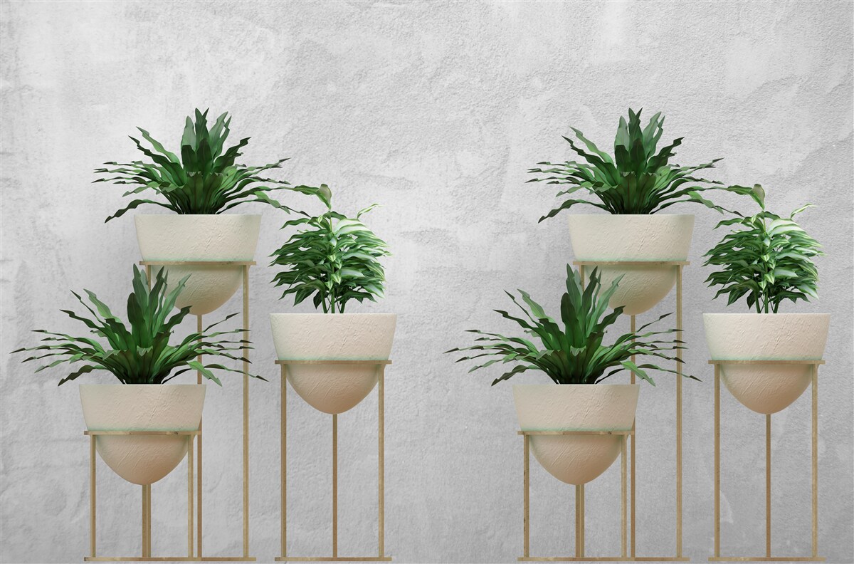 Fototapeta zielone kwiaty w delikatnych doniczkach