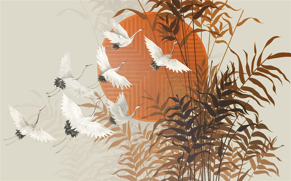 Fototapeta zachodowi słońca towarzyszy kolorowy lot żurawi