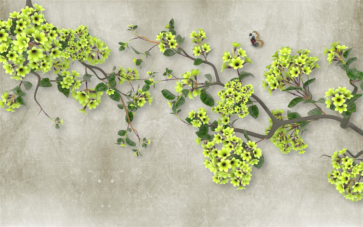 Fototapeta gałąź magnolii usiana bujnymi zielonymi pąkami