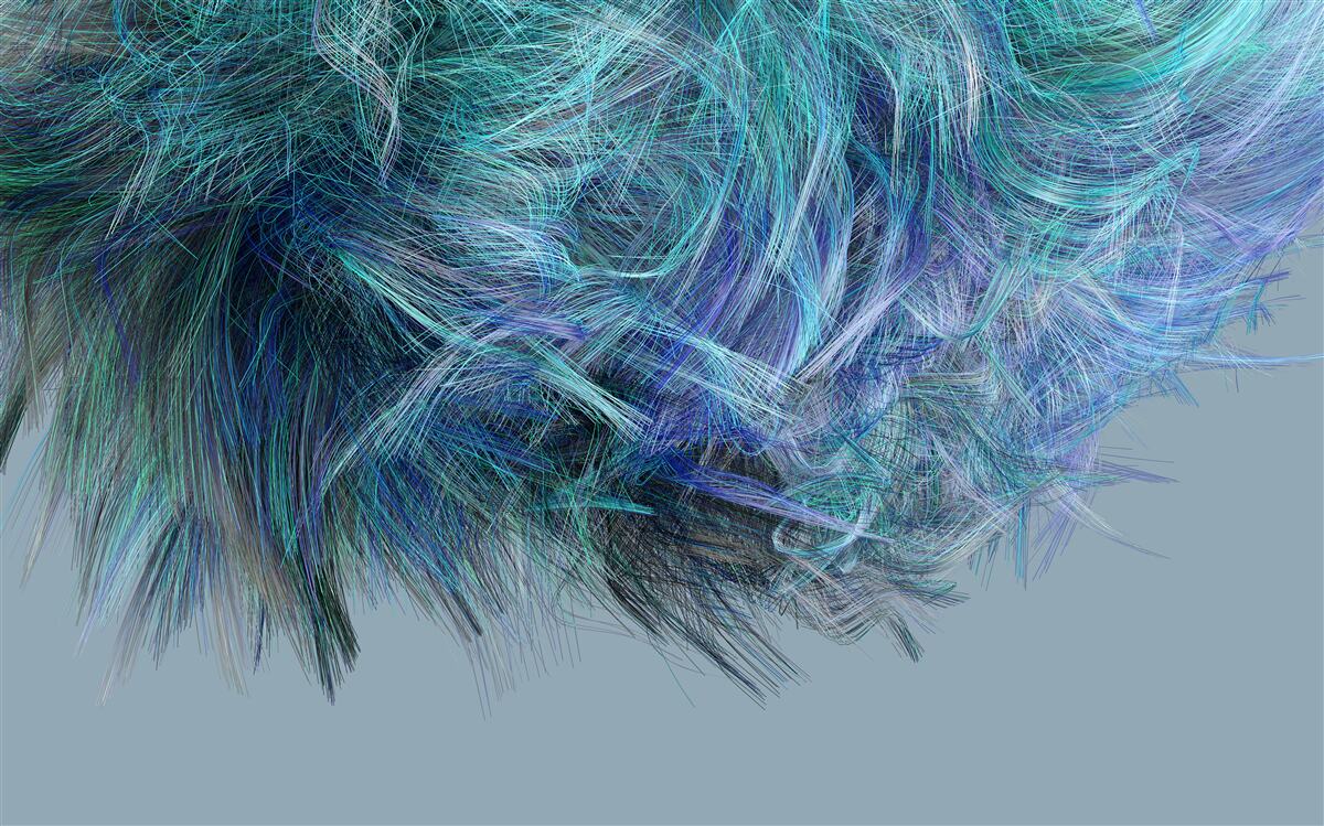 Fototapeta niezwykły bukiet wielobarwnych piór