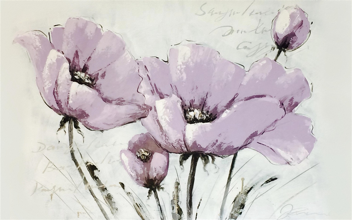 Fototapeta kwietnik z letnich maków w kolorze liliowym