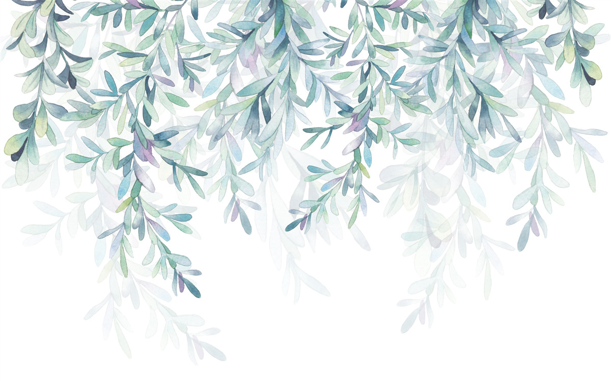 Fototapeta liście na gałęziach zmieniają kolor na zielony