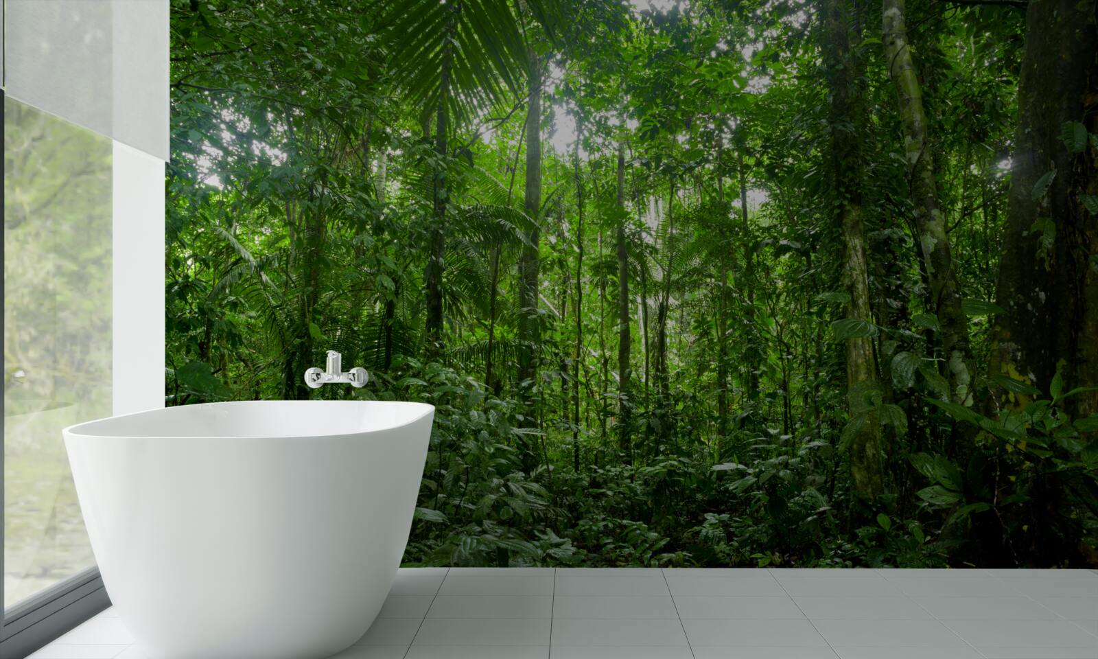 Fototapeta krajobraz lasu deszczowego, amazonia