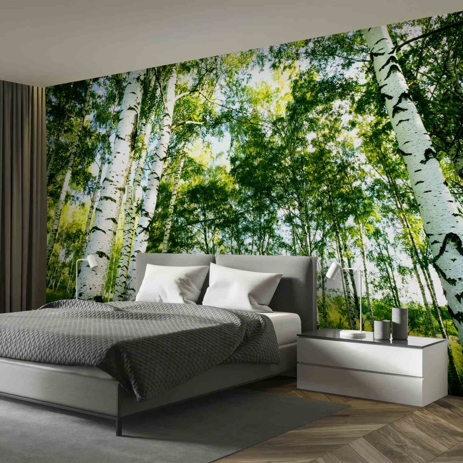 Fototapeta brzozowy las